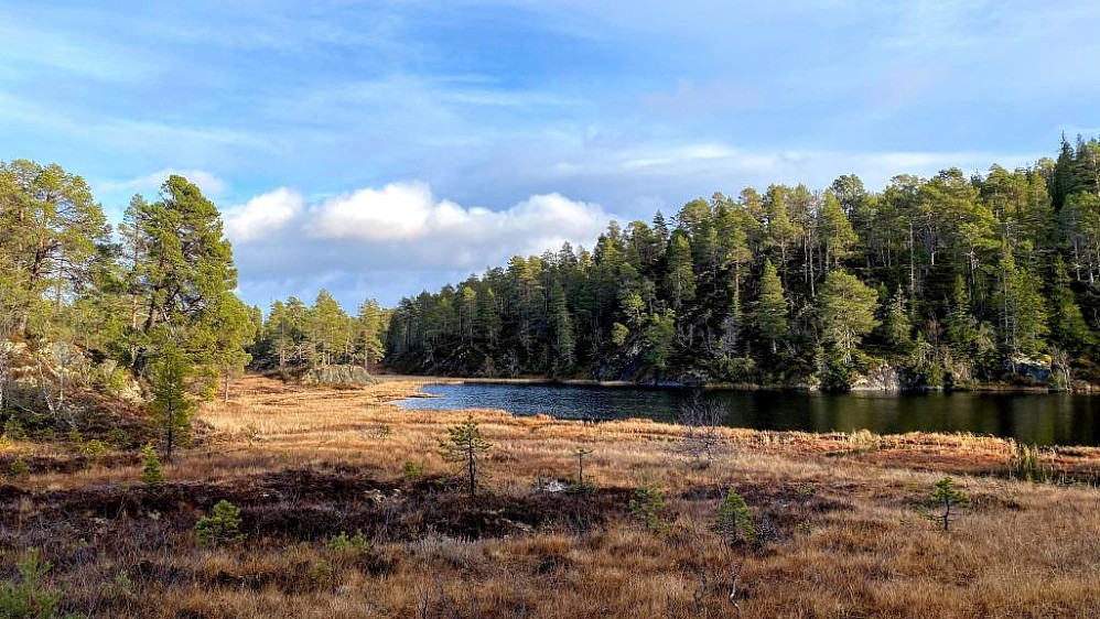 Bergtjønna.