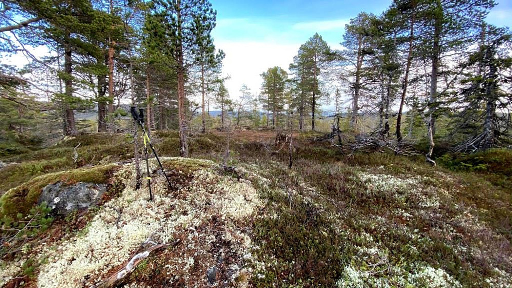 Litl-Børvassåsen.