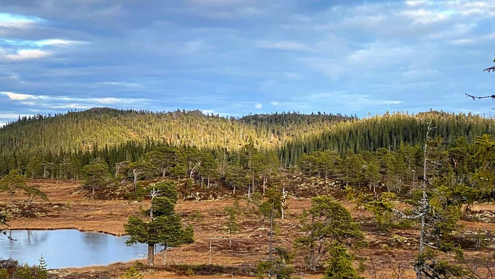Heitjønna med Høylasset lengst borte.
