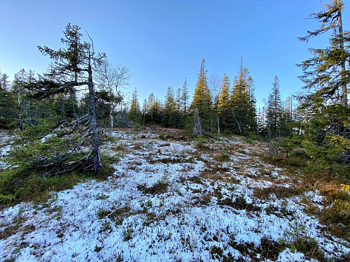 Litt snø som ligger i skyggen her.