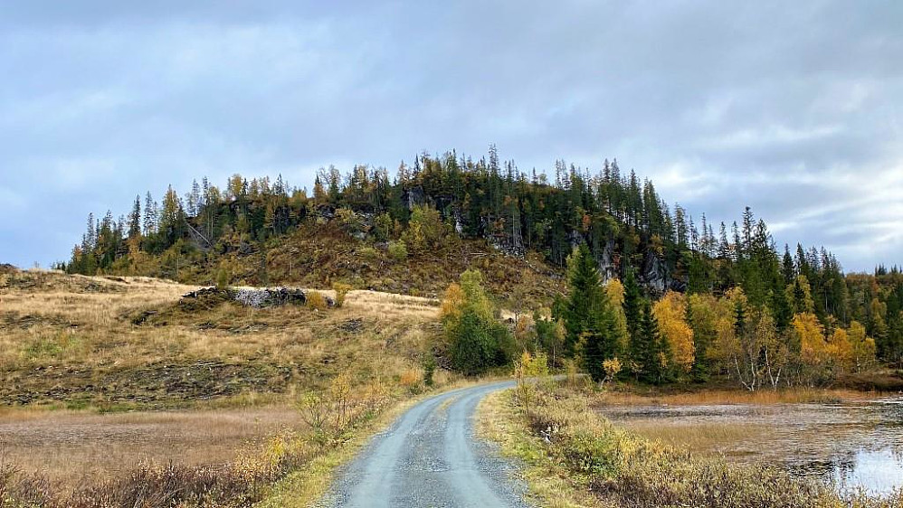 Topptjønnfjellet.