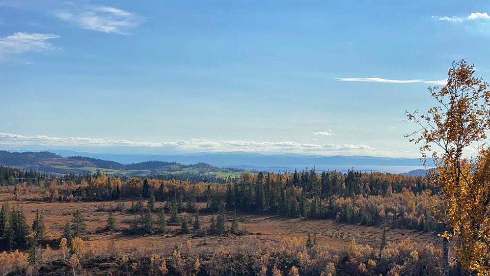 Utsikt mot Trondheimsfjorden.