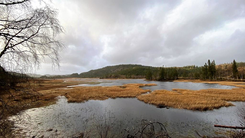 Topptjønna (Elvtjønna) i høstfarger.