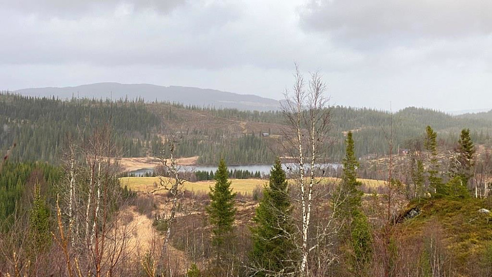 Mot nord og Hårfjellet. Skimter også Elvvatnet.