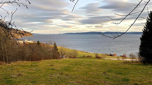 Grønt jorde i desember.