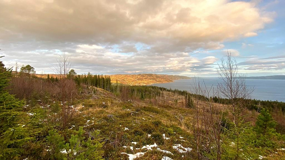 Utsikten innover Trondheimsfjorden fra Kjøkenhaugen. Ser Ytterøya og Verdal.