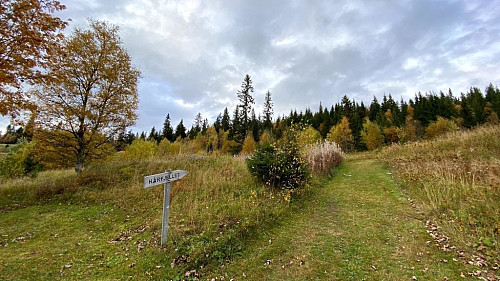 Årets første tur til Hårfjellet.