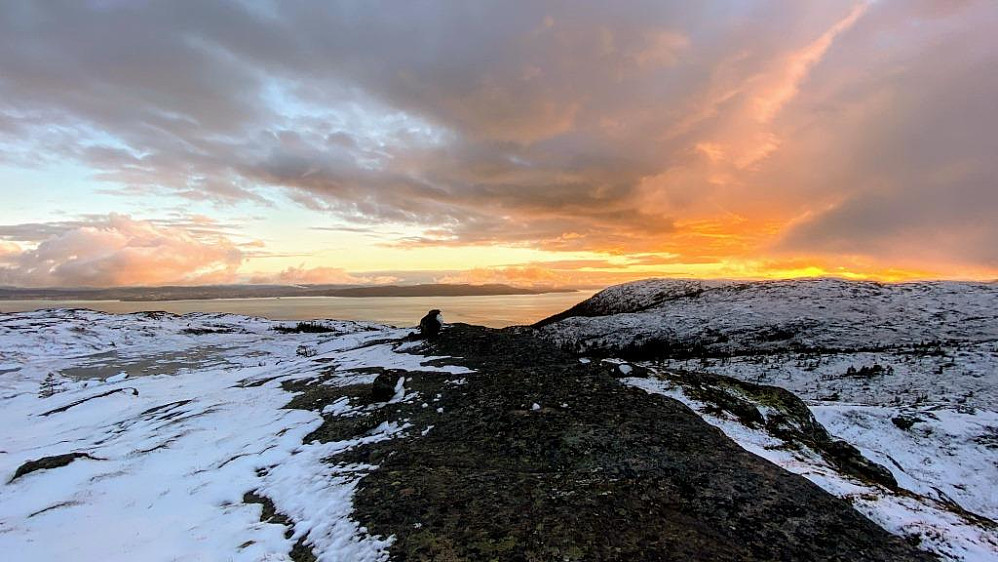 Brattliklumpen Vestre. Ser mot Trondheimsfjorden og fergesambandet Flakk-Rørvik.