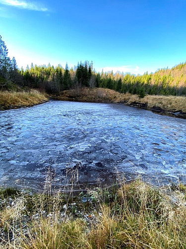 Nattefrost mosaikk.