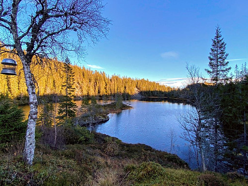 Østigardsdammen.