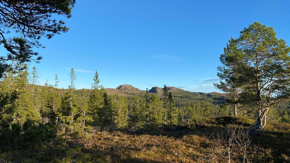 Grønliklumpen ruver i det fjerne.