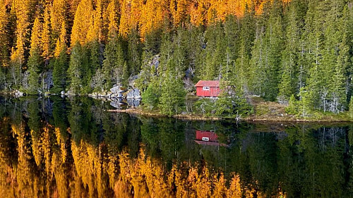 Idyll!
