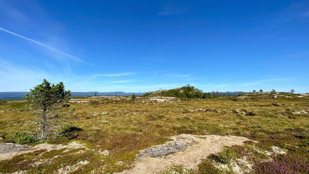 Der borte ligger toppen av Hemmeldalsheia.