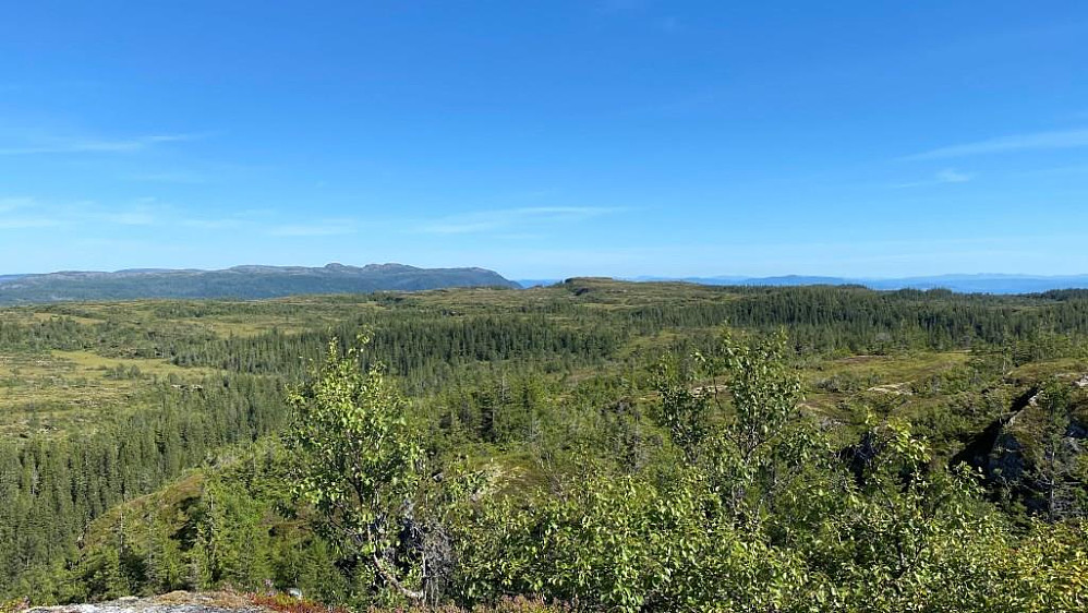 Mot Storhaugen og lenger unna ligger Grønliklumpen og Klompan.