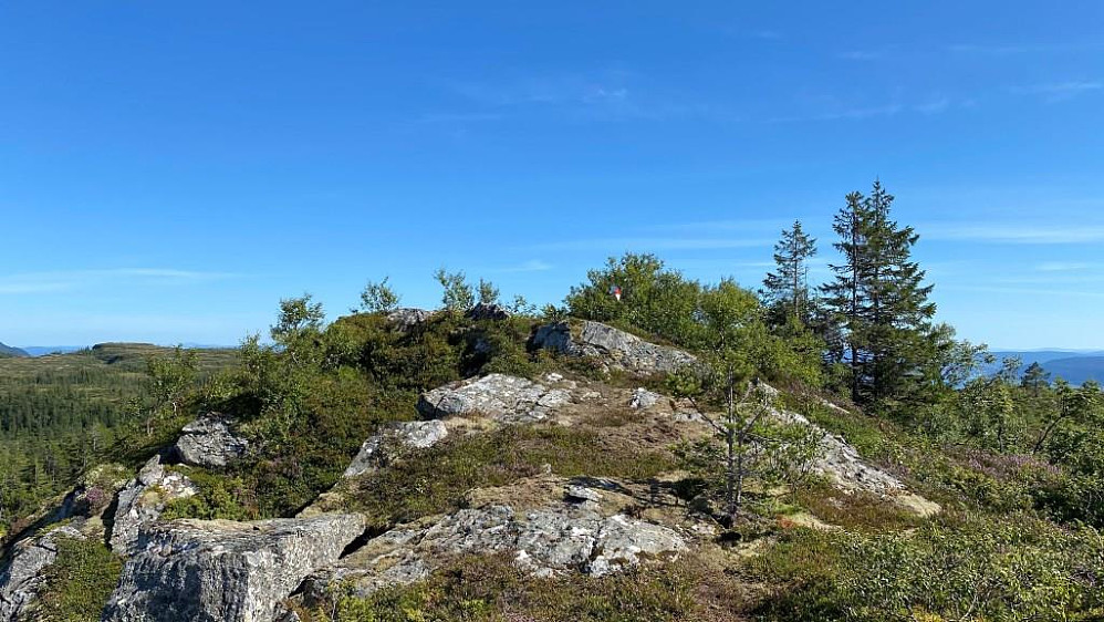 Toppen av Hemmeldalsheia.