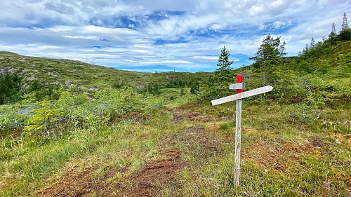 Stiskille opp mot Ytter-Munken.