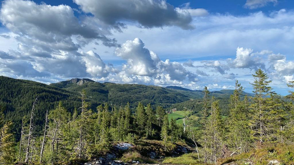 I retning Alset og Ytre Skurvhatten langt i det fjerne