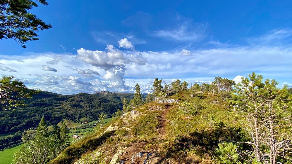 Aksla oppe på Skanøyklumpen.