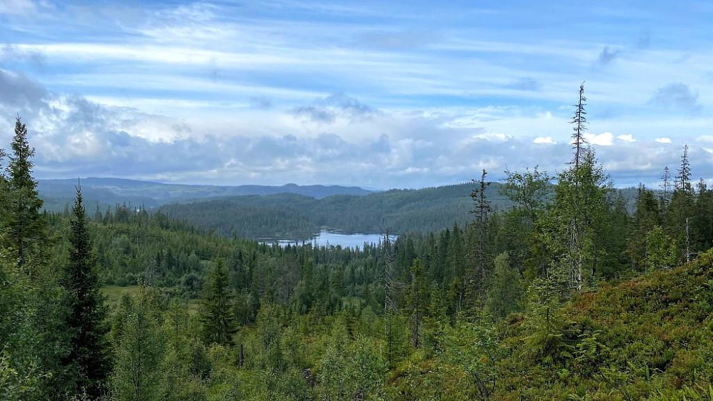 Tømmerdalsvatnet.