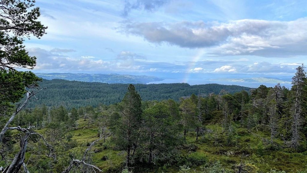 Litt utsikt mot Leksvika.