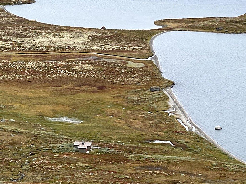 Forollhognakoia nede ved Forollsjøen.