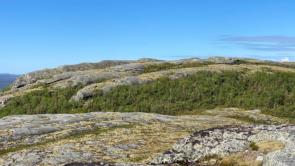 Da skal æ videre mot toppen lengst der borte som er Høgkoren toppen på Råkammen.