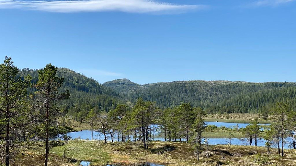 Svartoksen midt på her. Bremmenholmsheia til høyre.