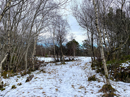 Litt snø her oppe på toppen.