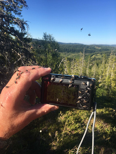 Ikke bare bare å få tatt bilder i dag.
