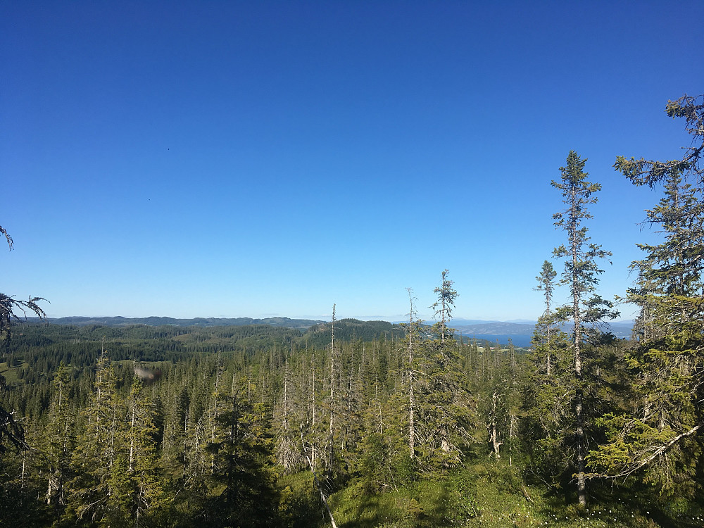 Ser mot Langåskammen og kan også skimte fjorden.