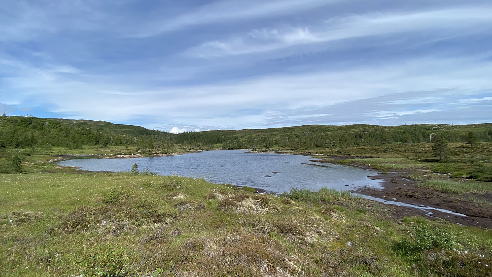 Grandalsdamen sett fra Olsbu.