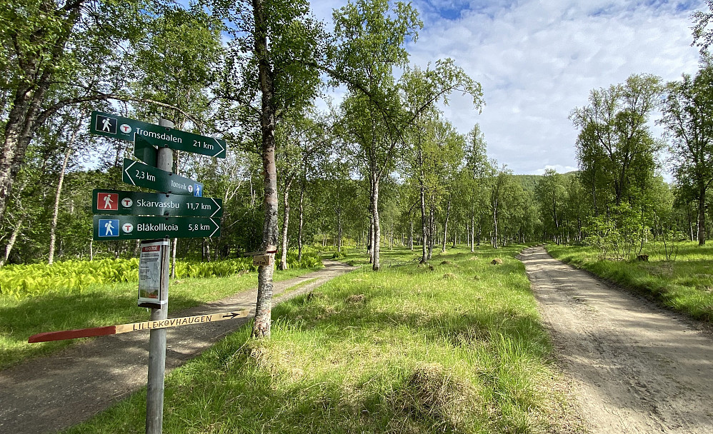 God merking oppe i Tønsvikdalen.