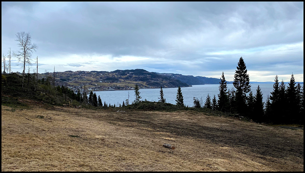Det er ryddet mye skog her i vinter.