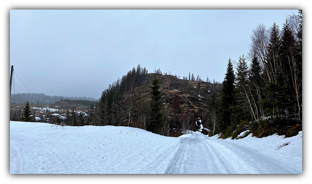 Kontraster her. Topptjønnfjellet er så godt som snøfritt.