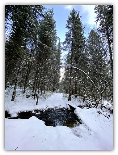 Steindalen.