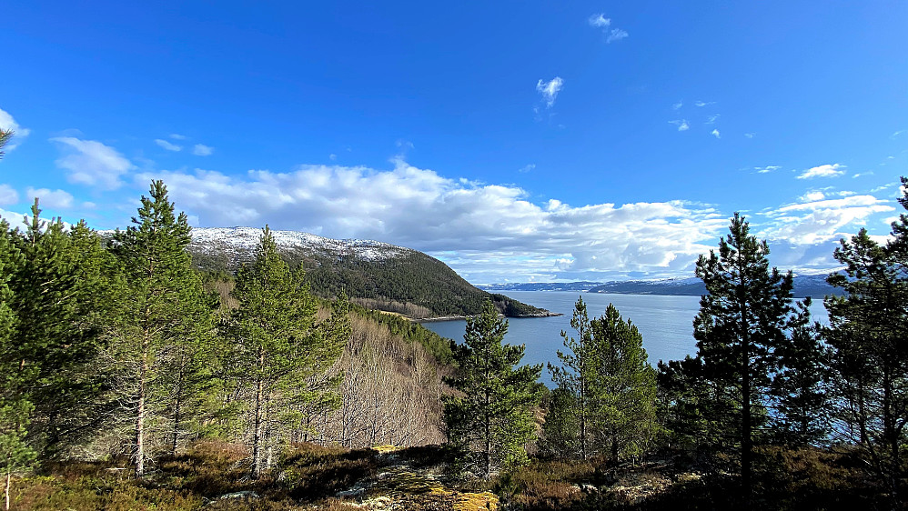 Ser innover Trondheimsfjorden med Årlottheia til venstre.