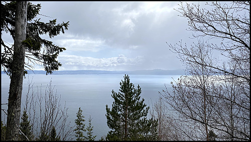 En liten glippe i skogen så man ser fjorden over mot Trondheim.