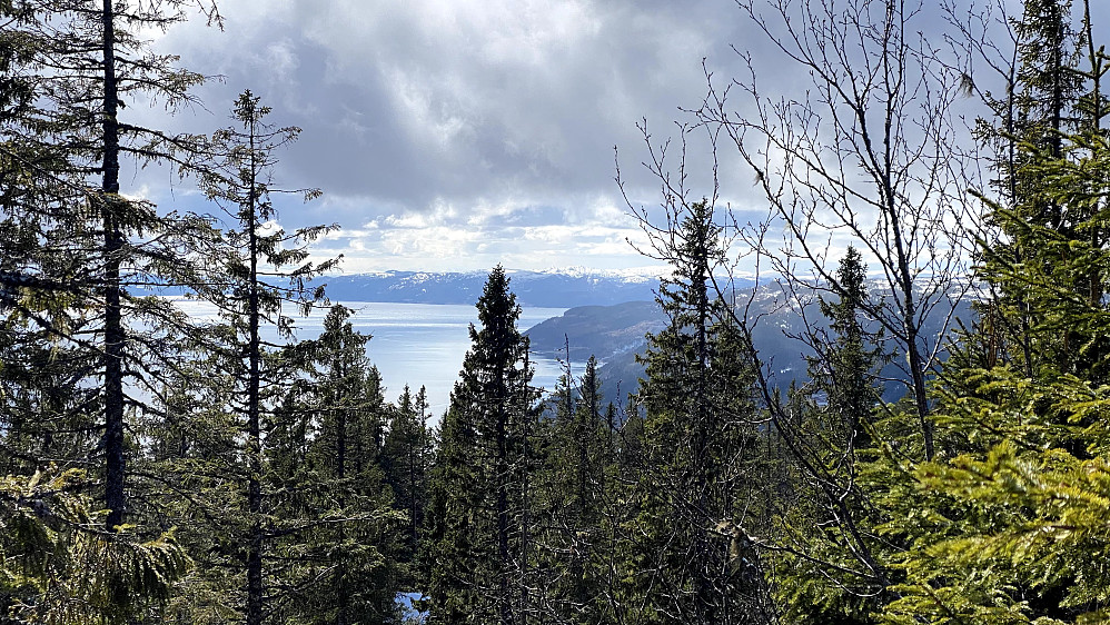 Mot Vanvikan og Rørvik.
