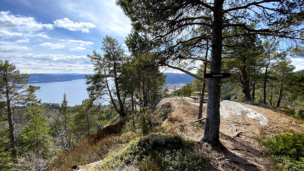 Da var toppen nådd. Flott plass dette.
