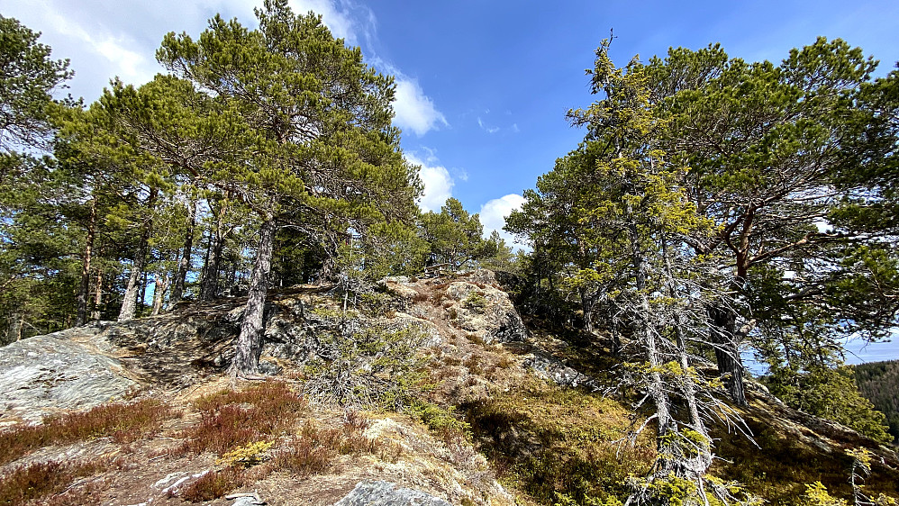 Ser opp mot benken her. Får ta en rast der før returen starter.