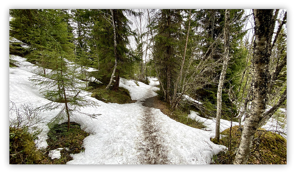 Bli det snøfritt til 17.Mai?