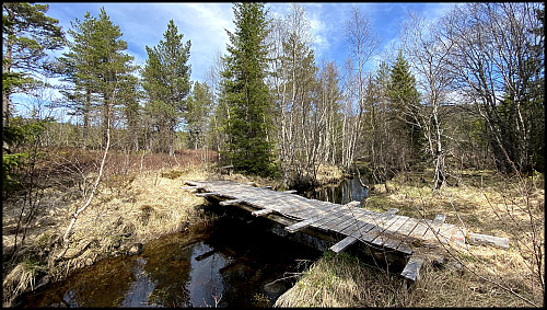 Bjørneråselva kommer fra Omundvatnet.