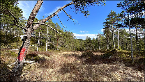 Eksempel på merkingen som er satt på denne turen.
