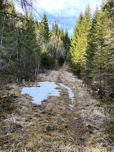 Eneste snøflekk å se.