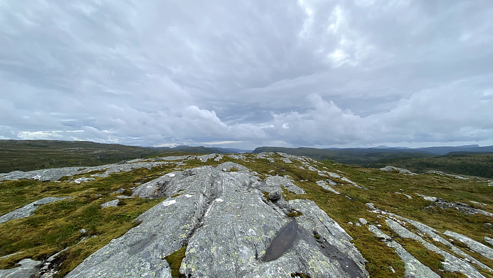 Da var jeg oppe på Liafjellet og skuer mot vest og sjøen i det fjerne.