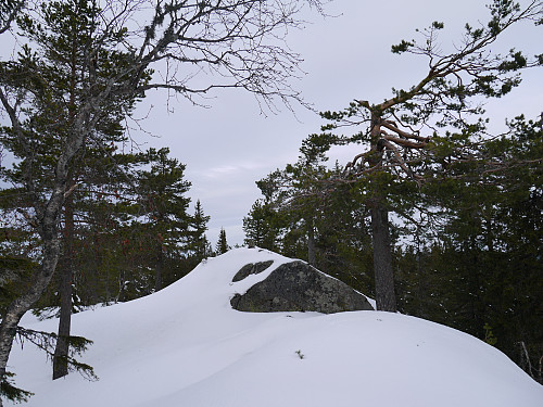Trettekollen
