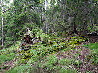 Rester av bygning v Nystøyl