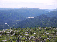 Årdalen sørover