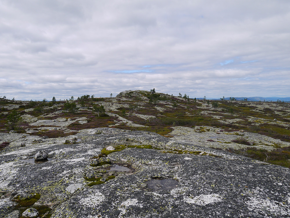 Kalddalsfjellet