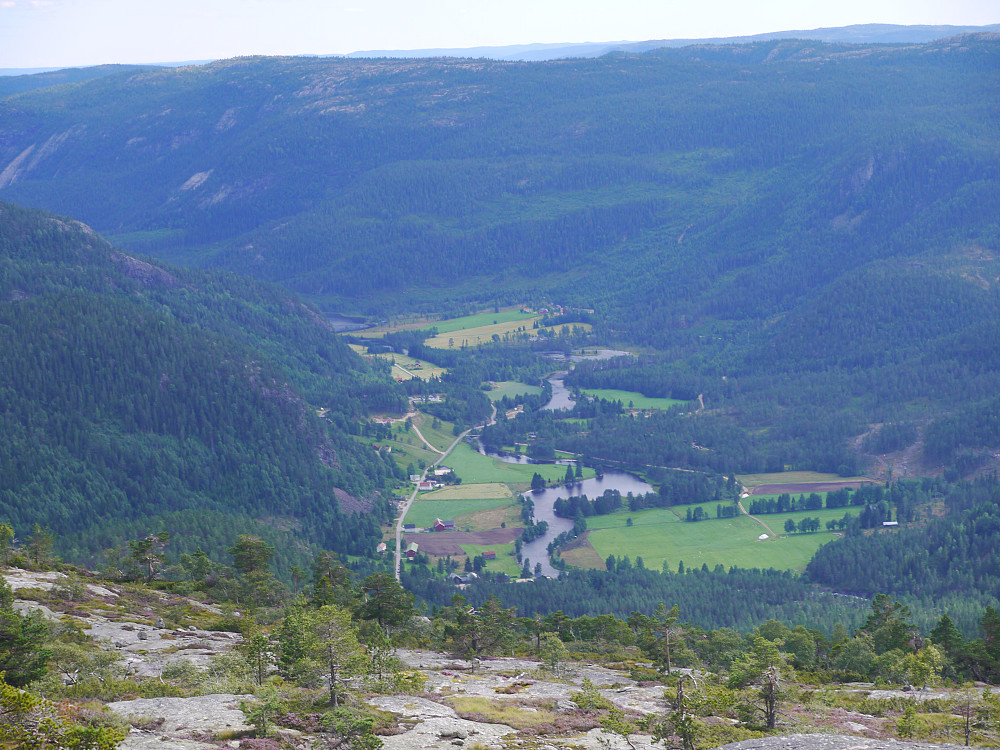 Austenå i Tovdal